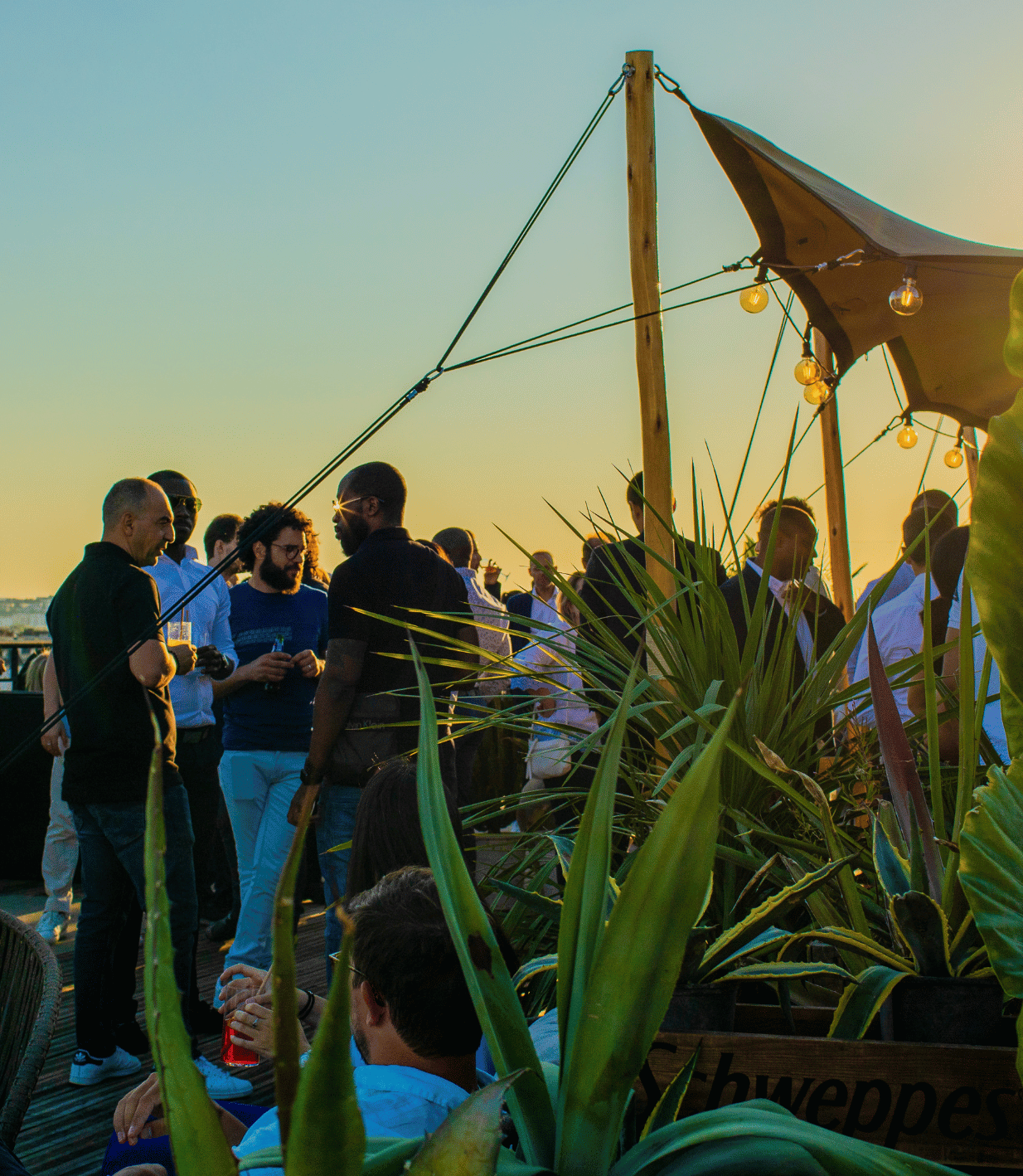 astrelya it service transformation digitale rse 3 e1776433559133